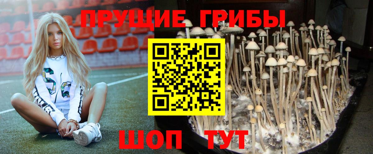 Шахты  Галлюциногенные грибы Psilocybine cubensis  Галлюциногенные грибы Magic Shrooms  Вход с VPN 